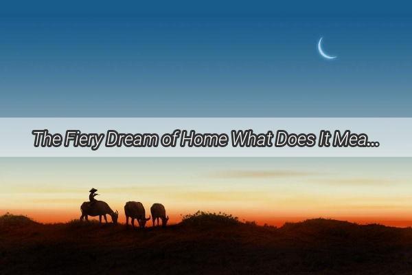 The Fiery Dream of Home What Does It Mean When Your Kitchen Stove Ignites in a Nightly Vision